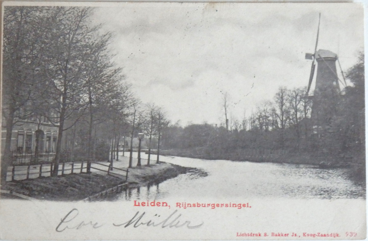 Ansichtkaart Leiden - Rijnsburgersingel 1902