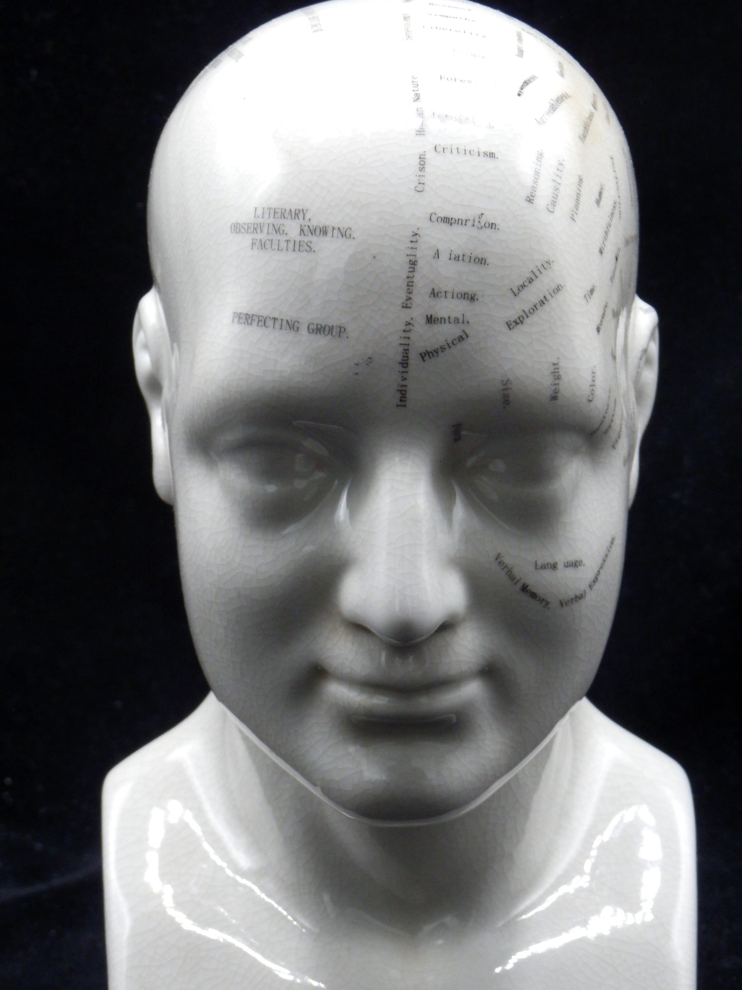 Phrenology Hoofd waarbij de verschillende gebieden en functies van de hersenen in kaart zijn gebracht.