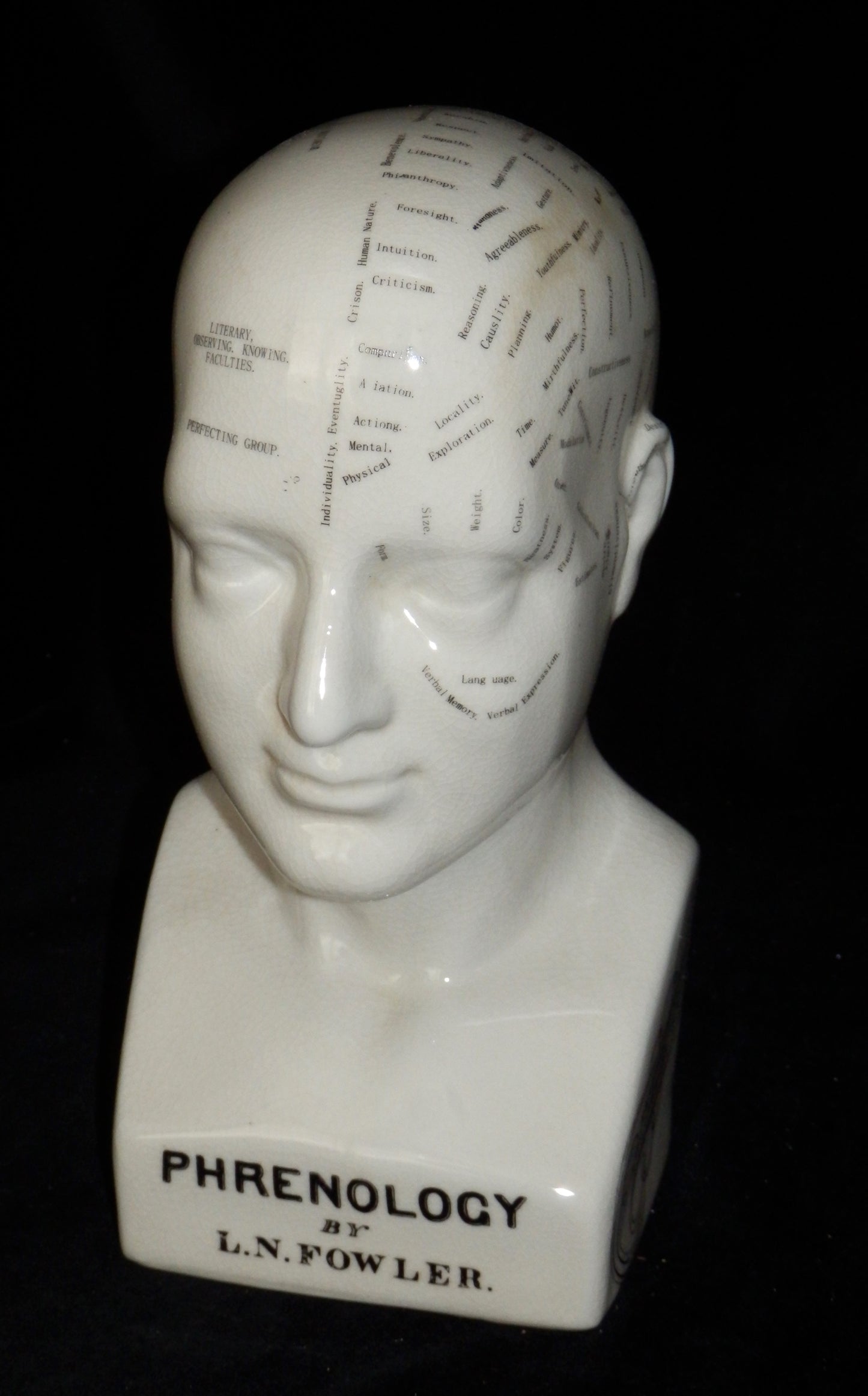 Phrenology Hoofd waarbij de verschillende gebieden en functies van de hersenen in kaart zijn gebracht.