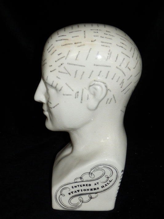 Phrenology Hoofd waarbij de verschillende gebieden en functies van de hersenen in kaart zijn gebracht.