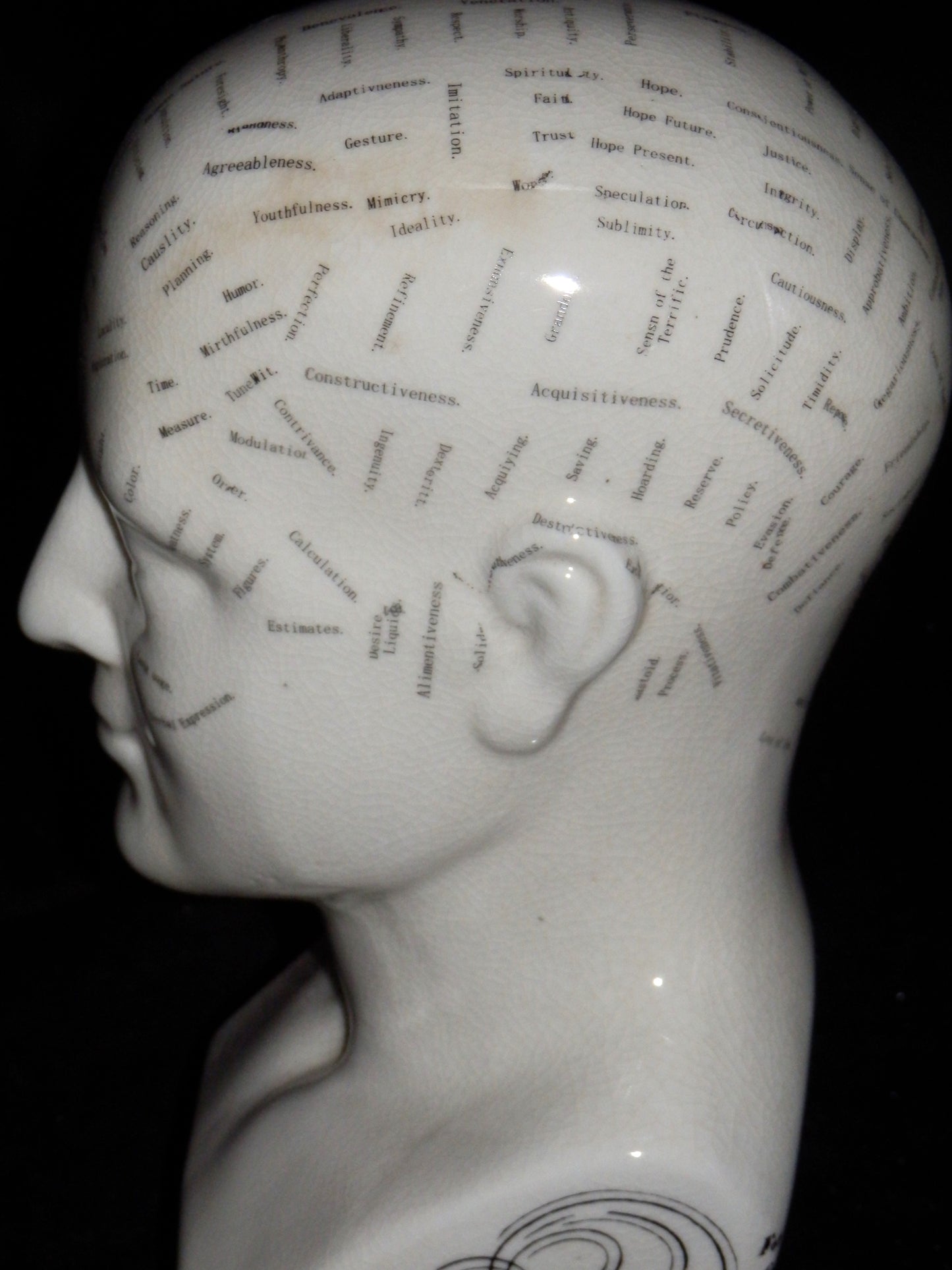 Phrenology Hoofd waarbij de verschillende gebieden en functies van de hersenen in kaart zijn gebracht.