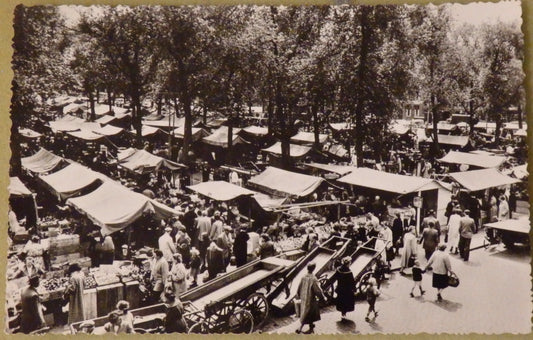 Ansichtkaart Rotterdam - Markt Noordplein (1956)